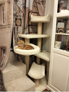 Отзывы «Пыжик» фото - 2