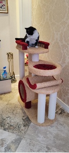  «Брыкся» – фото 2