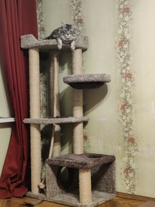  «Камуля» – фото 2