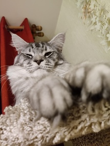  «Камуля» – фото 3