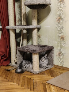  «Камуля» – фото 4