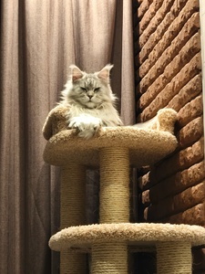 Отзывы  фото - 5