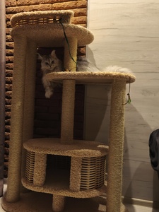 Отзывы  фото - 7