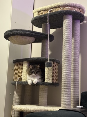 Отзывы  фото - 1