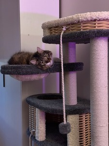 Отзывы  фото - 2