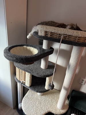 Отзывы  фото - 3