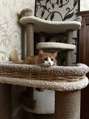 Игровой комплекс – фото 3