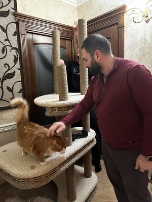 Игровой комплекс – фото 4