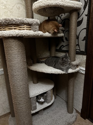 Игровой комплекс – фото 6