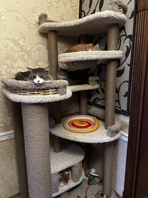 Игровой комплекс – фото 8