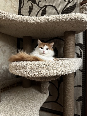 Игровой комплекс – фото 9