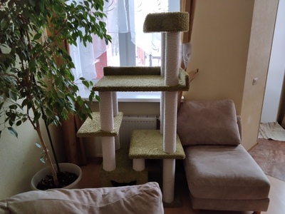 Отзывы  фото - 12