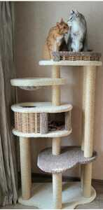 Комплексы для&nbsp;кошек «Басик+» – фото 1