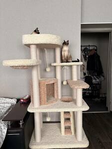 Отзывы  фото - 1